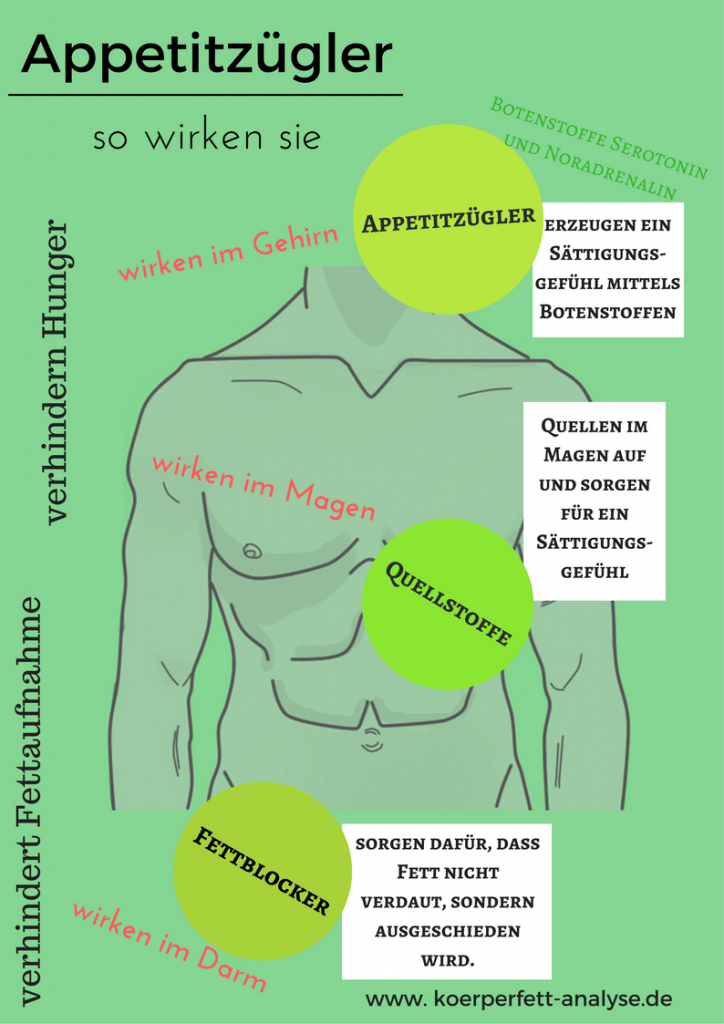 Infografik Appetitzügler auf koerperfett-analyse.de