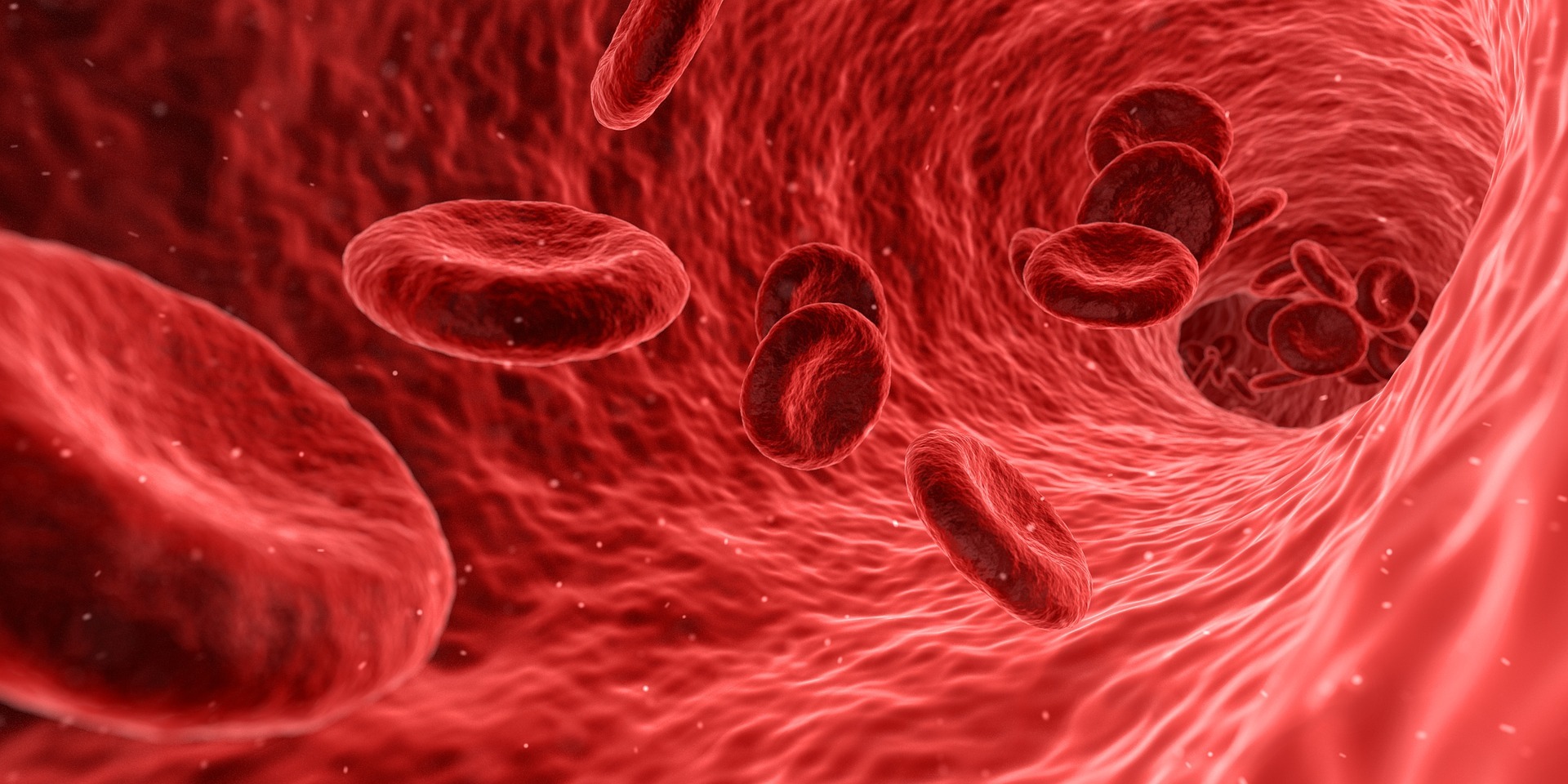 Zu hoher Cholesterin Wert im Blut auf koerperfett-analyse.de