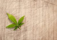 Abnehmen durch Stressreduktion und Cannabis auf koerperfett-analyse.de